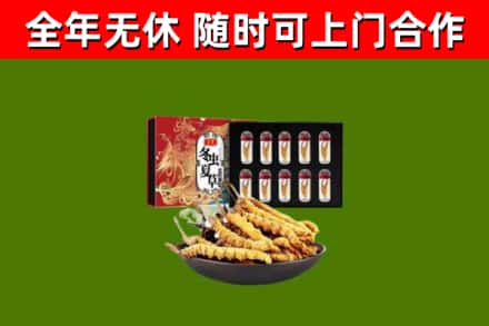 潘集烟酒回收冬虫夏草礼盒.jpg